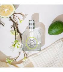 Eau de parfum Bergamote Radieuse - Beautiful Moment the shop